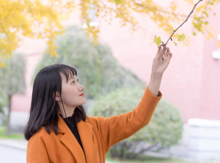 菲律宾大学在中国的认可度